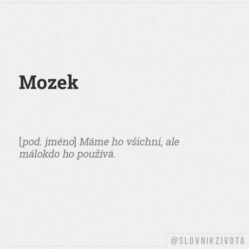  Mozek 