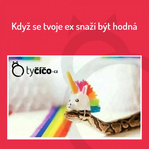 Ex