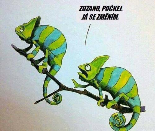 Zuzano