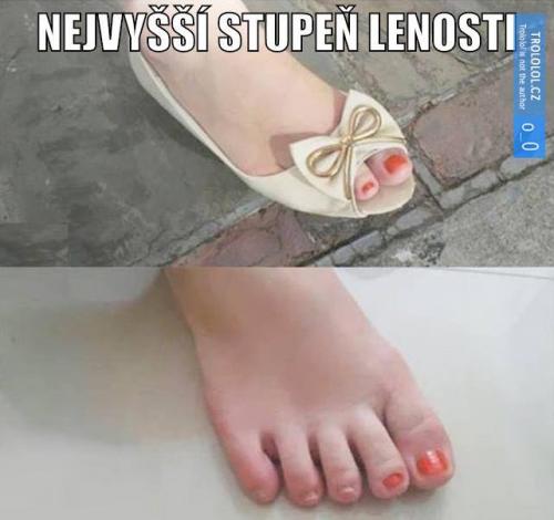  Lenost 