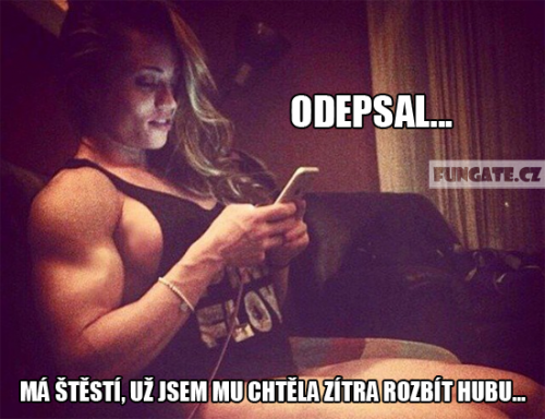 Odepsal