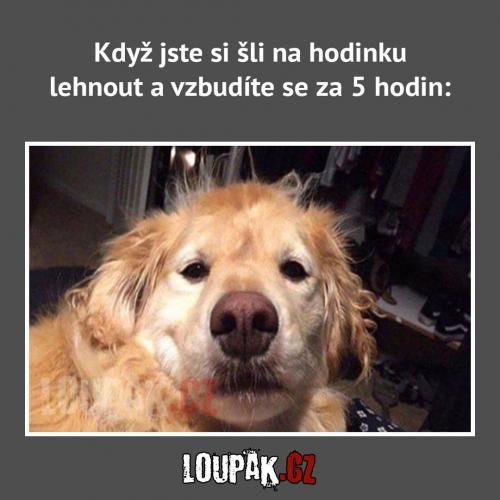 Hodink
