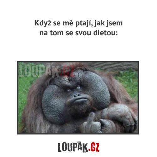  Moje dieta 