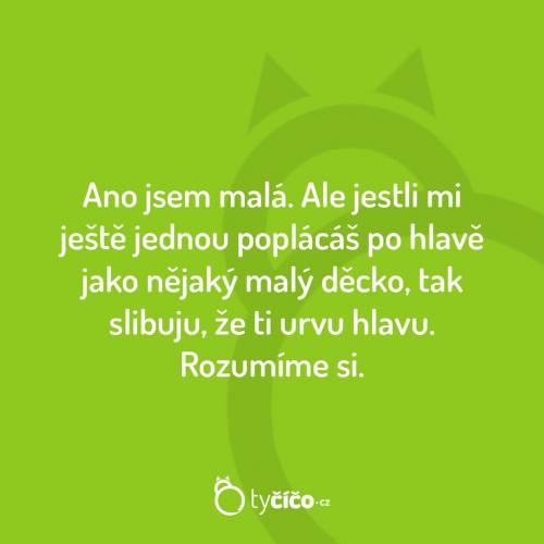 Rozumíme si
