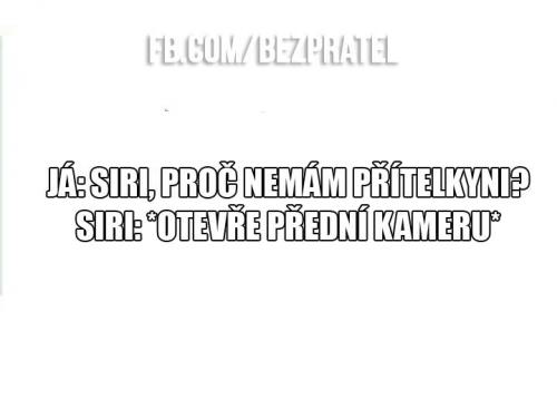 Přítelkyně