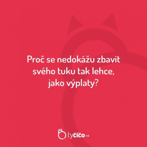  Výplata 