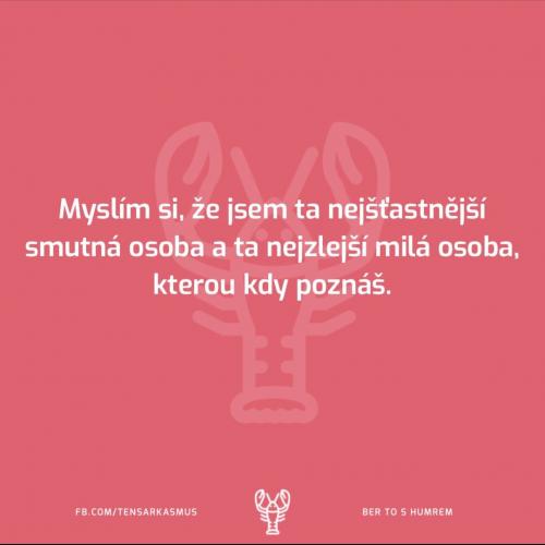 Myslím si