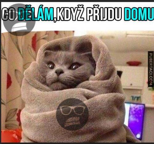 Co dělám
