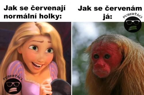 Normální holky