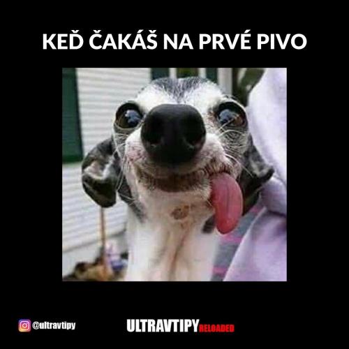  První pivo 