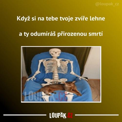  Asi to není nic příjemného 