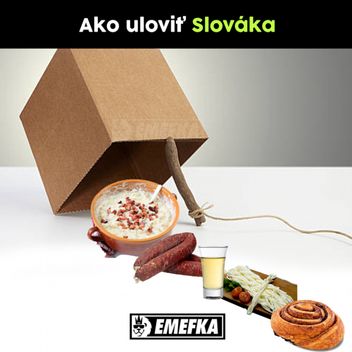  Slovák 