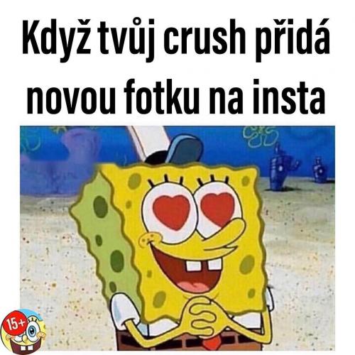  Nová fotka 