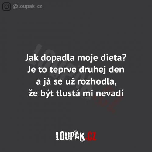  Moje dieta 