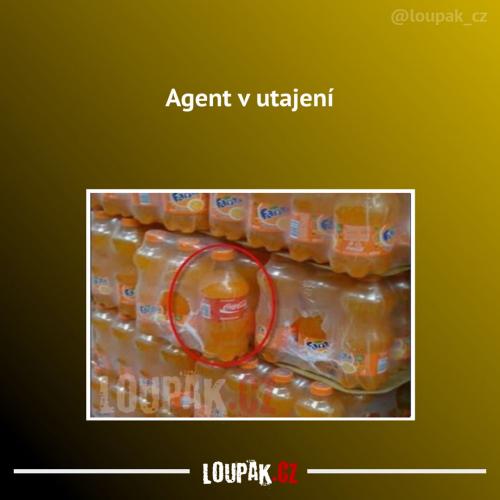  Agent 