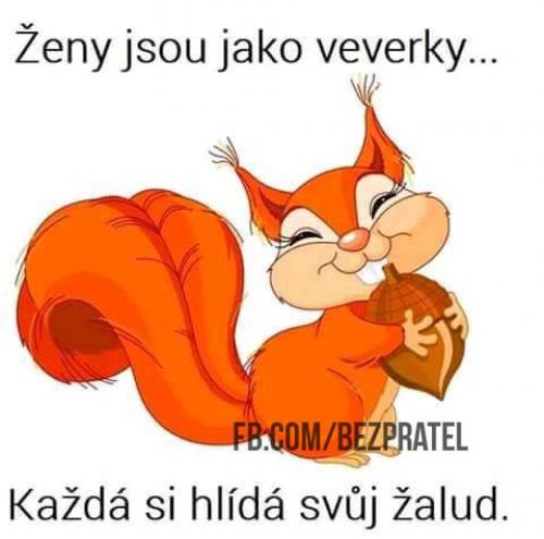 Vereka
