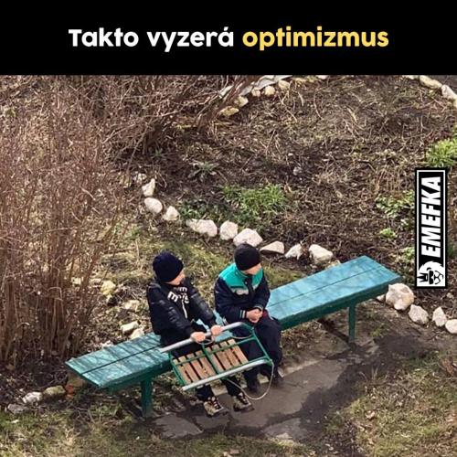  Optimista 