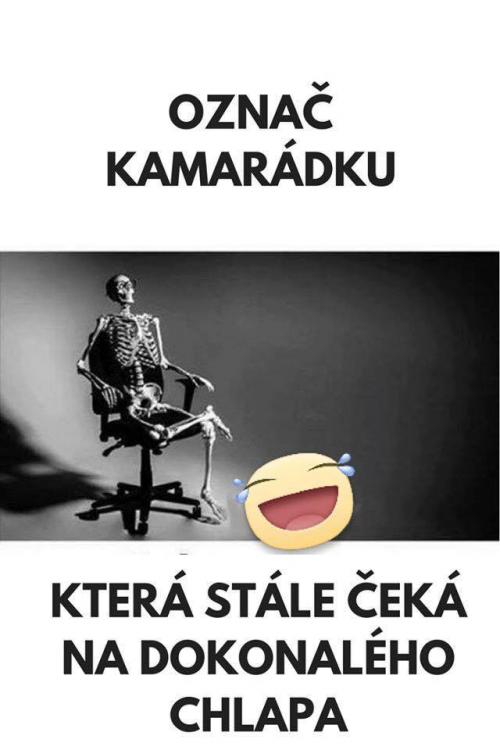  Kamarádka 