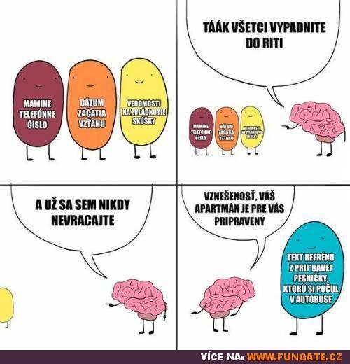 Vypadněte