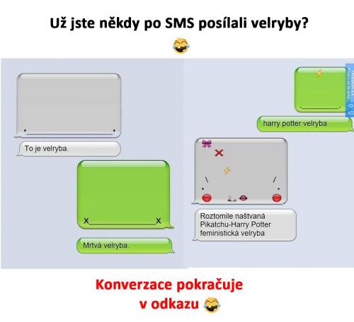  SMS 