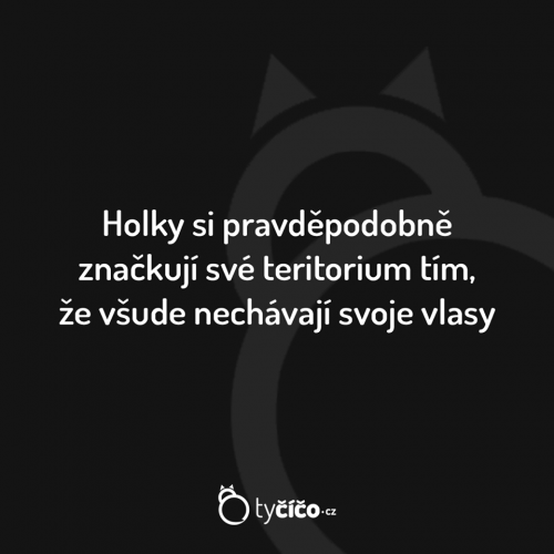  Holky 