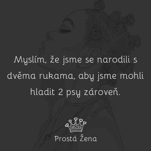Myslím