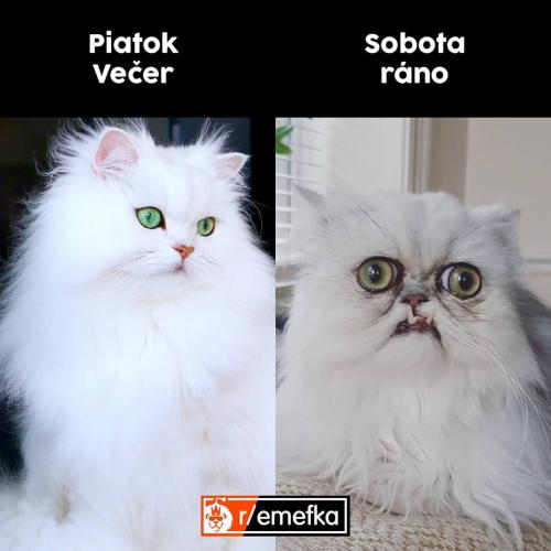  Pátek 