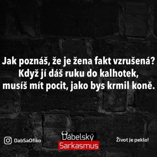 Vzrušená
