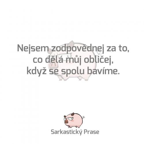 Zodpovědný