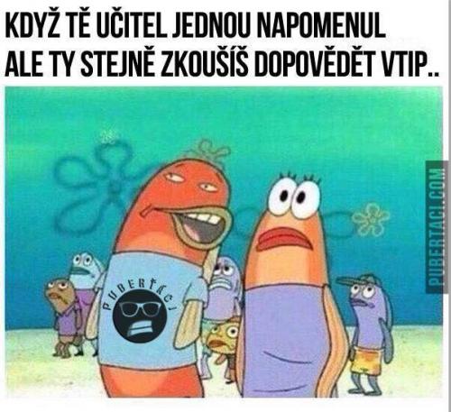  Učitel 