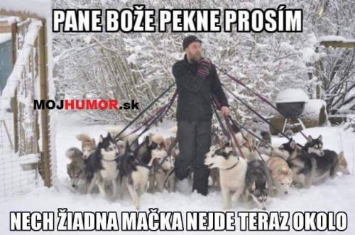  Pane bože 