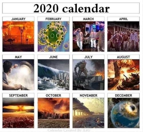  Rok 2020 v obrázcích 