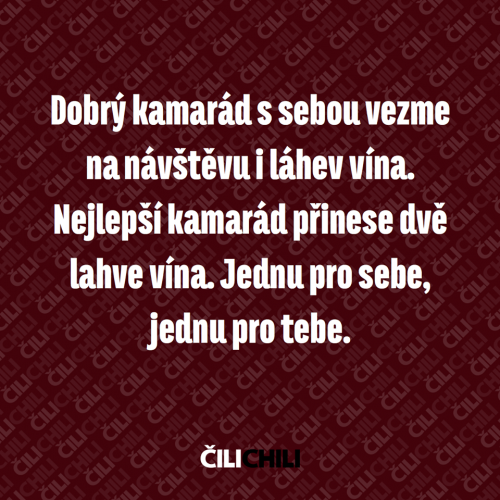  Dobrý kamarád 