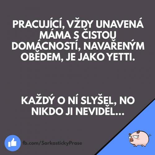  Pracující 