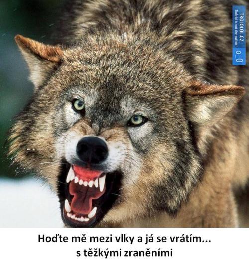 Hoďte mě