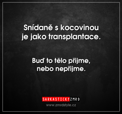  Snídaně 