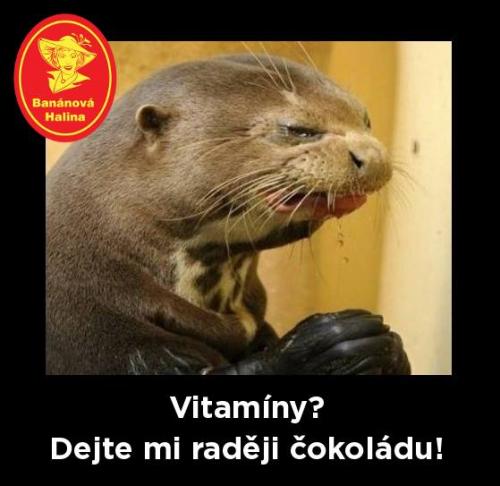  Vitamíny 