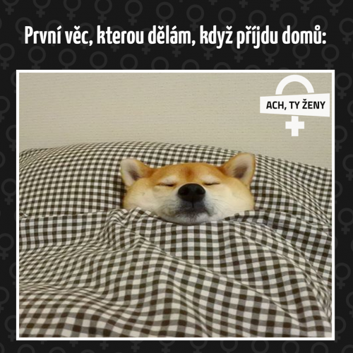 Prnví cěc