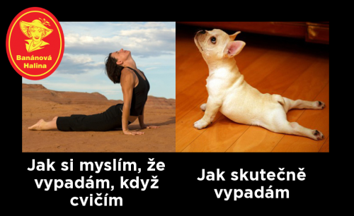  Cvičení 