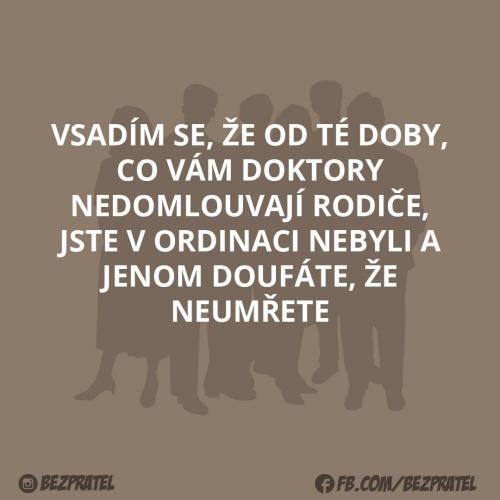 Vsadím se