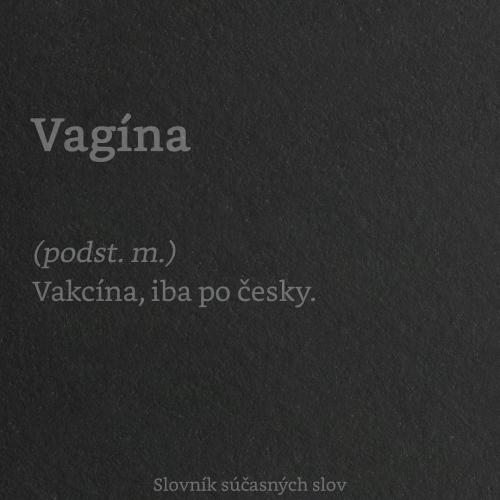  Vagína 
