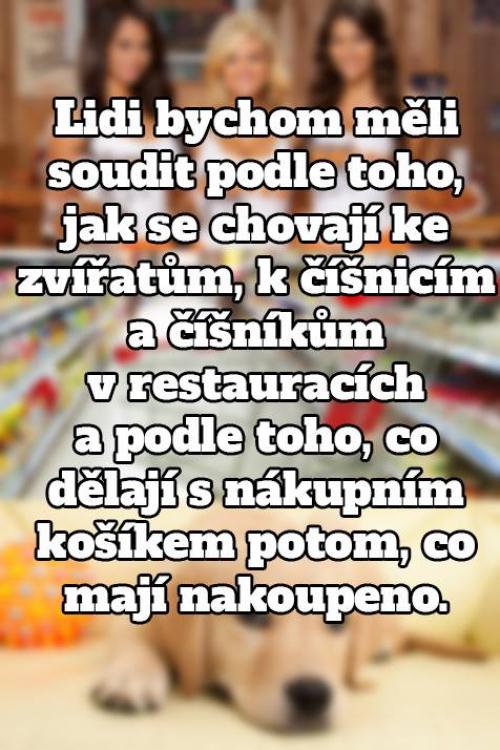 Soudit