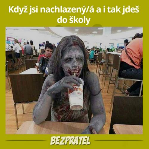 Skola