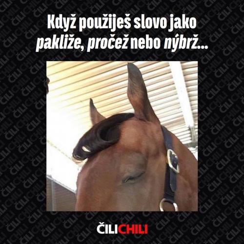 Nýbrž