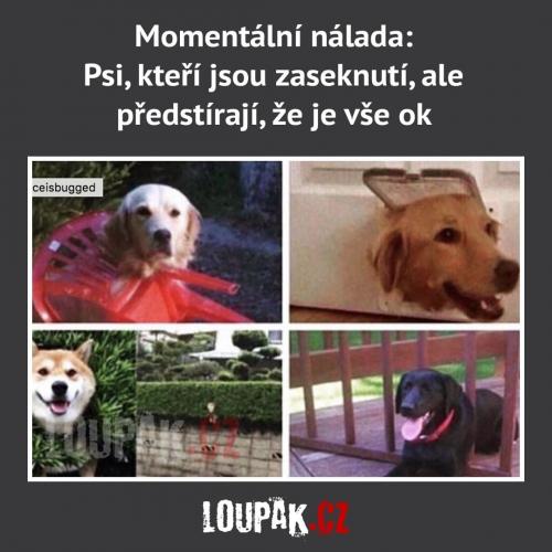  Momentální nálada 