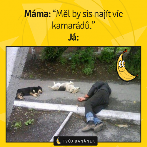  Víc kamarádů 