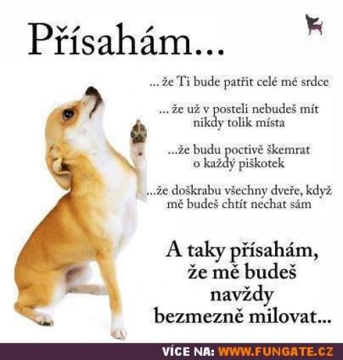 Přísahám