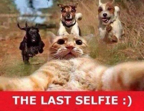  Last selfie 