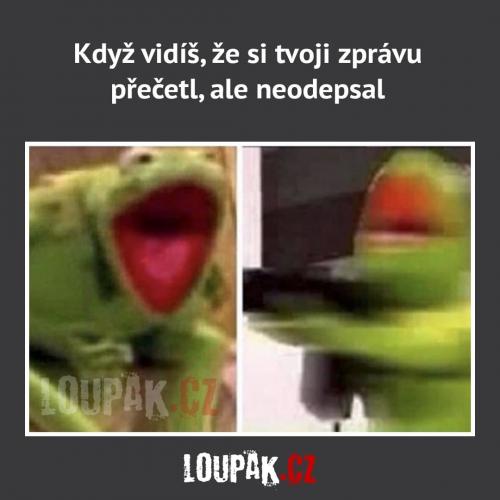  Zpráva 