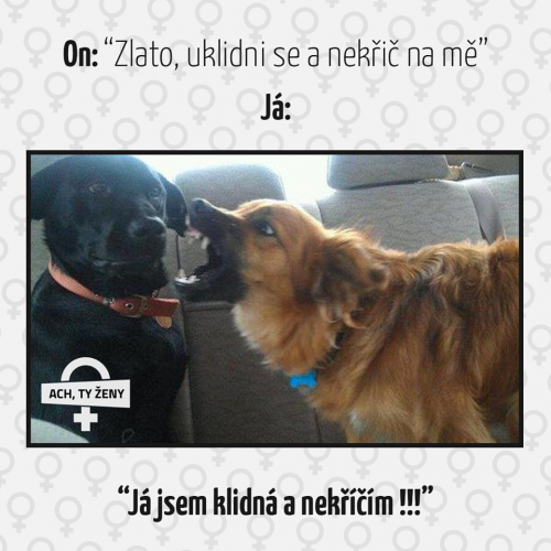 Nekřič na mě